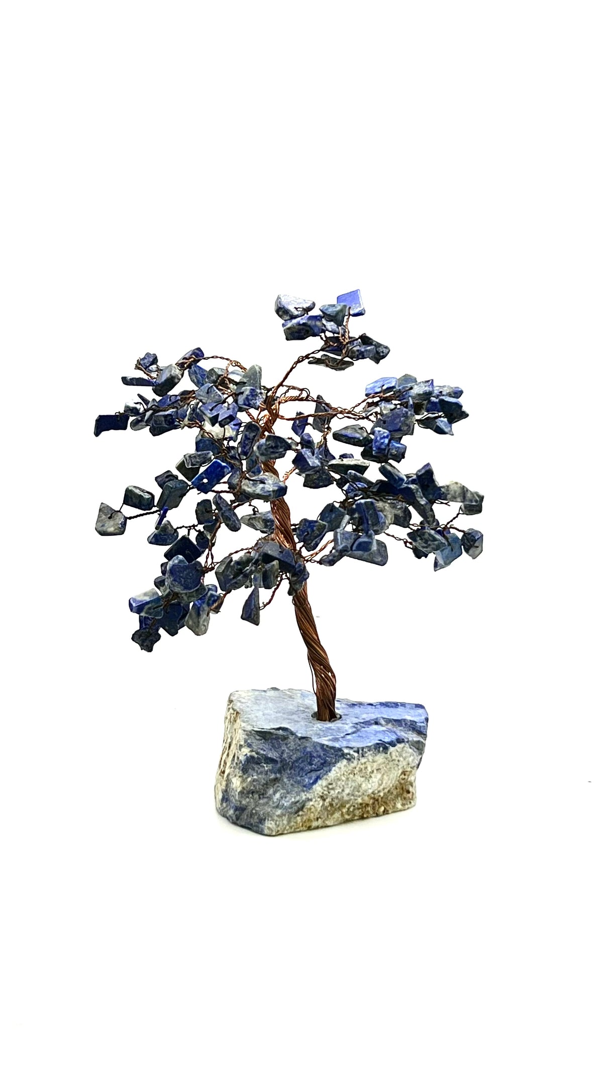 7" Lapis Lazuli  Crystal Tree on Sodalite Base