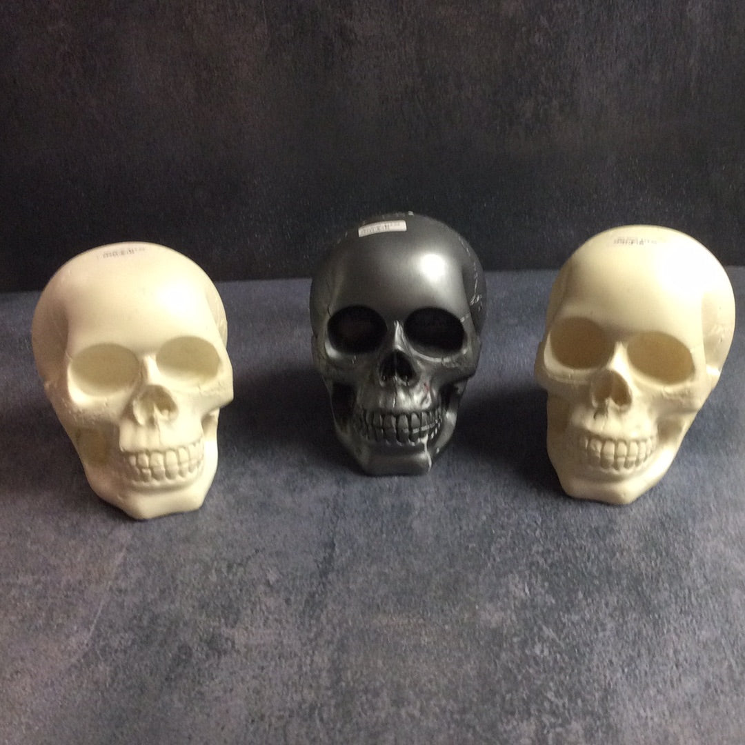Resin Skulls