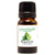 Bergamot Essential Oil