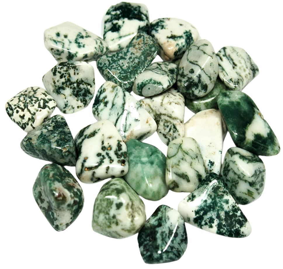 Tree Agate Tumbled