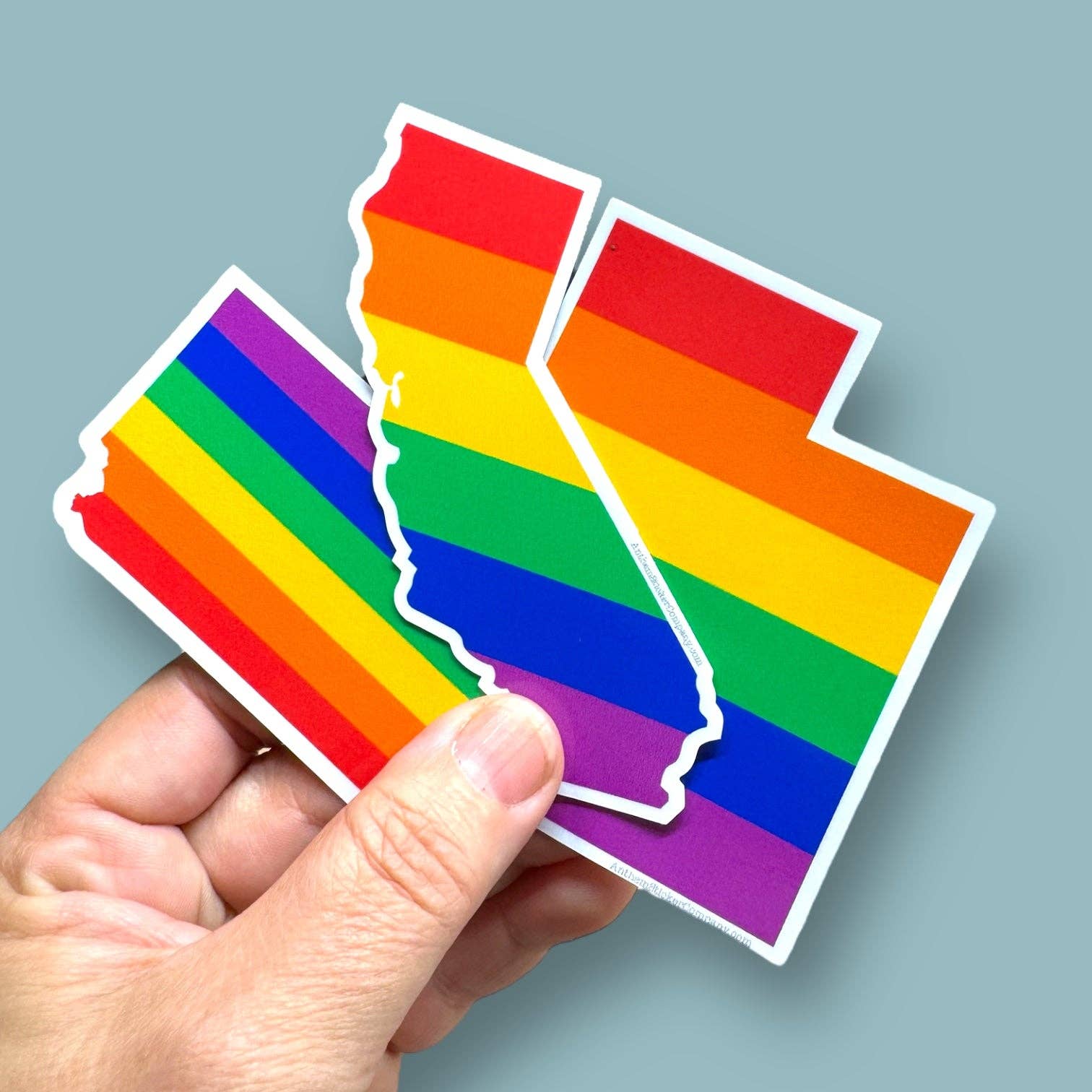 NC STATE rainbow sticker
