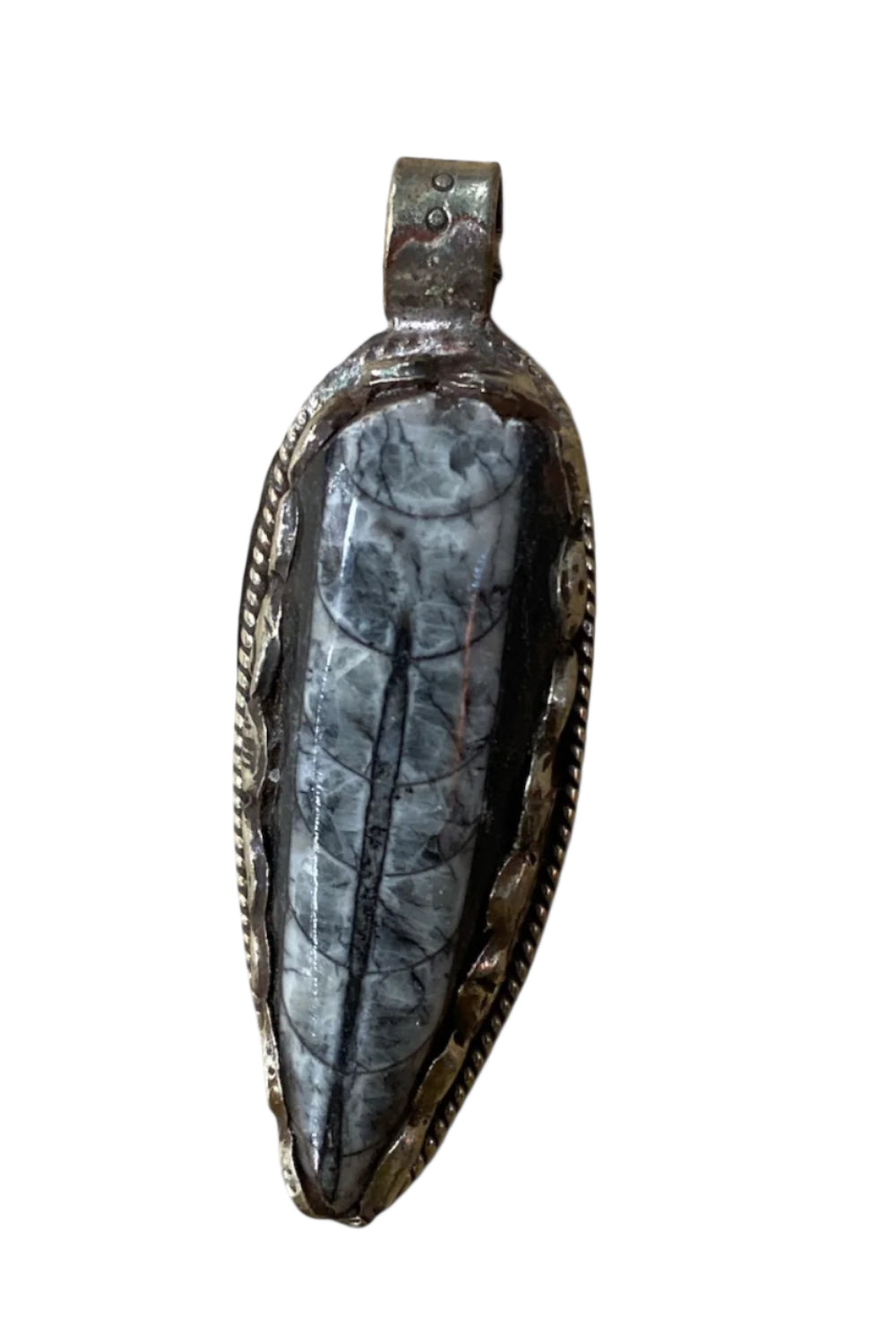 Orthoceras in Tibetan Silver Pendant