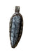 Orthoceras in Tibetan Silver Pendant