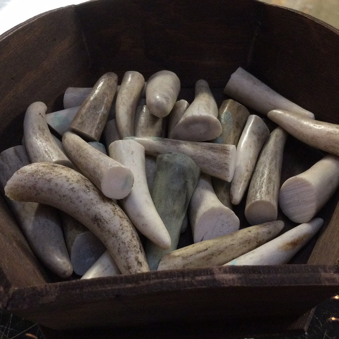 White Tail Deer Antler Tips