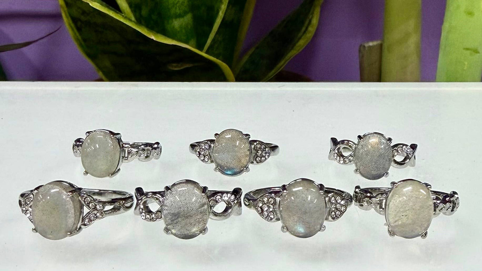 Natural Labradorite Stainless Steel Rings 9316)  8x10mm