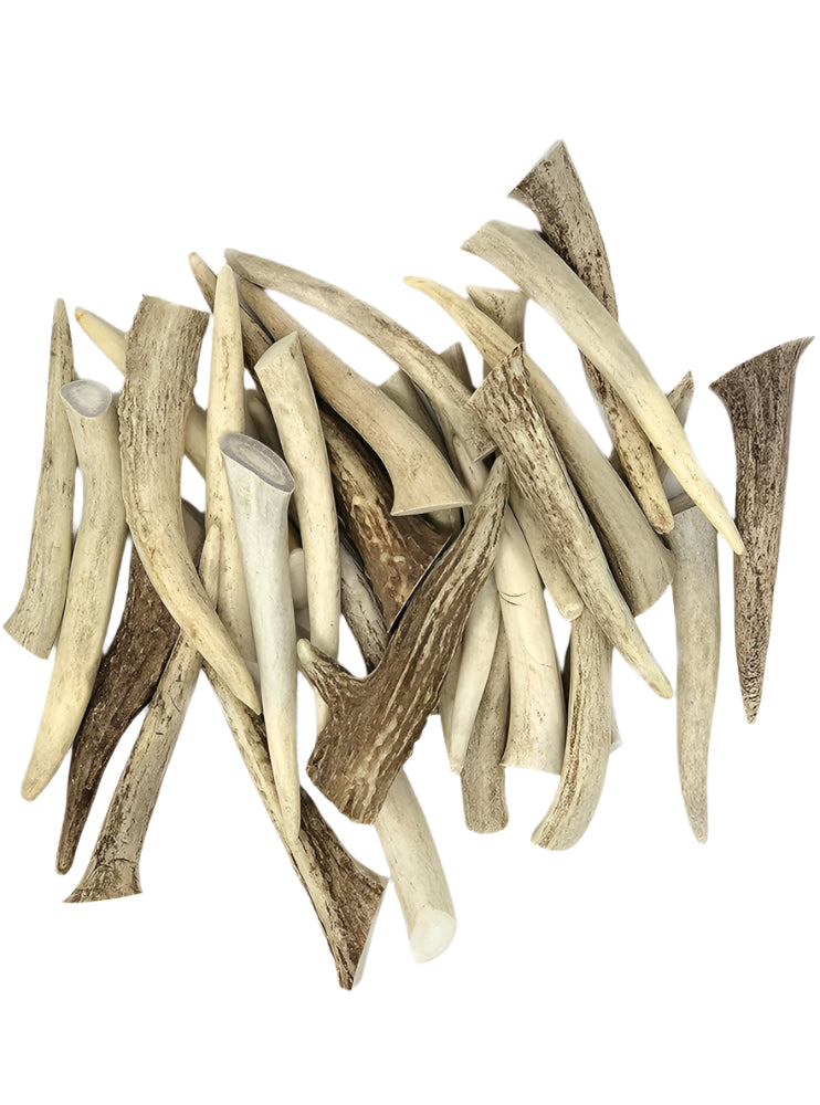 White Tail Deer Antler Tips