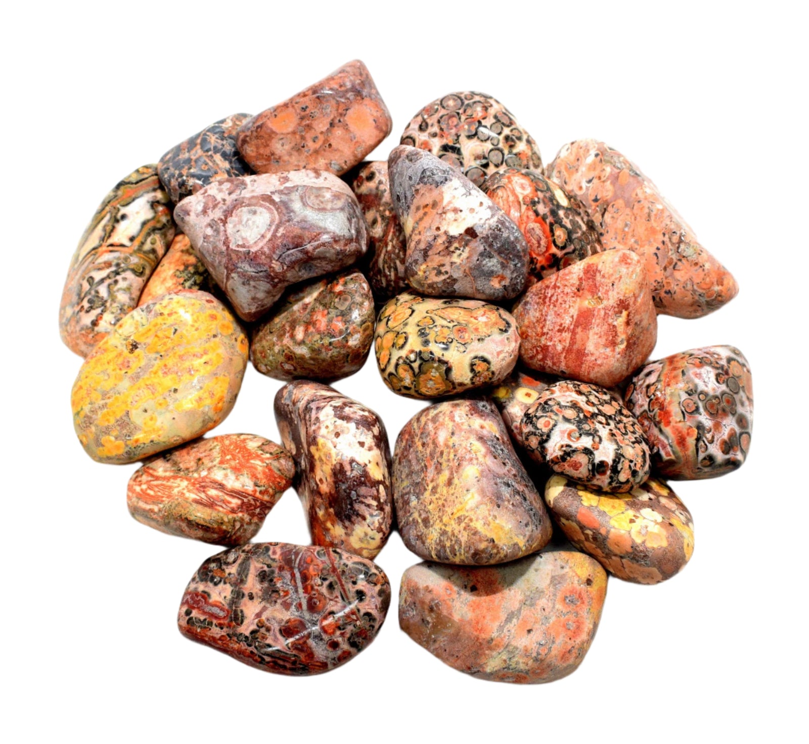 Leopardite Jasper Tumbled