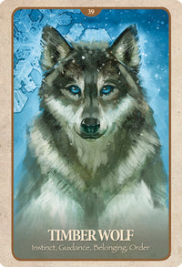 Secret Language of Animals Oracle Deck