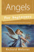Angels for Beginners - Webster