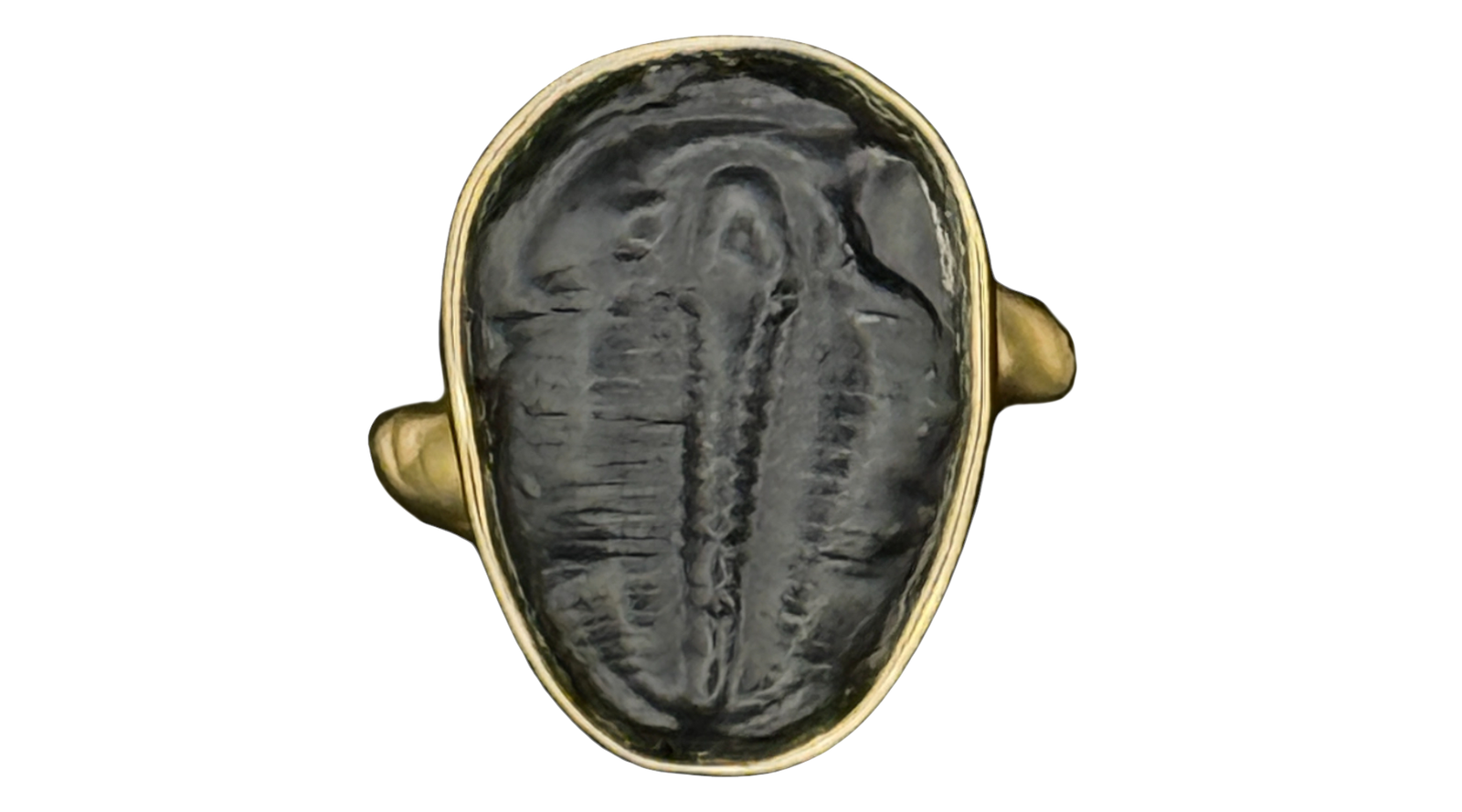 Trilobite Alchemia Gold Ring