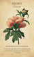 Botanical Inspirations Oracle