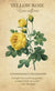 Botanical Inspirations Oracle
