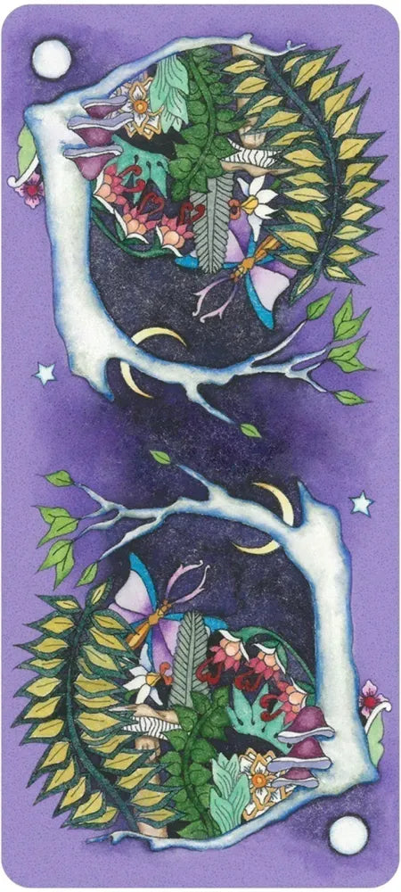 Tarot of a Moon Garden (borderless deck & book set)