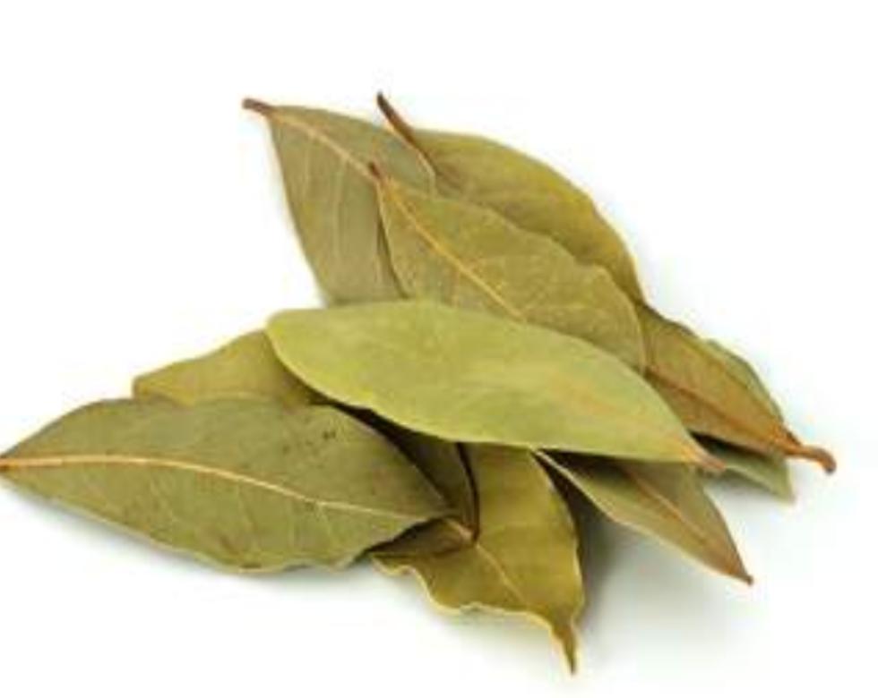 Bay Leaves (Egyptian)