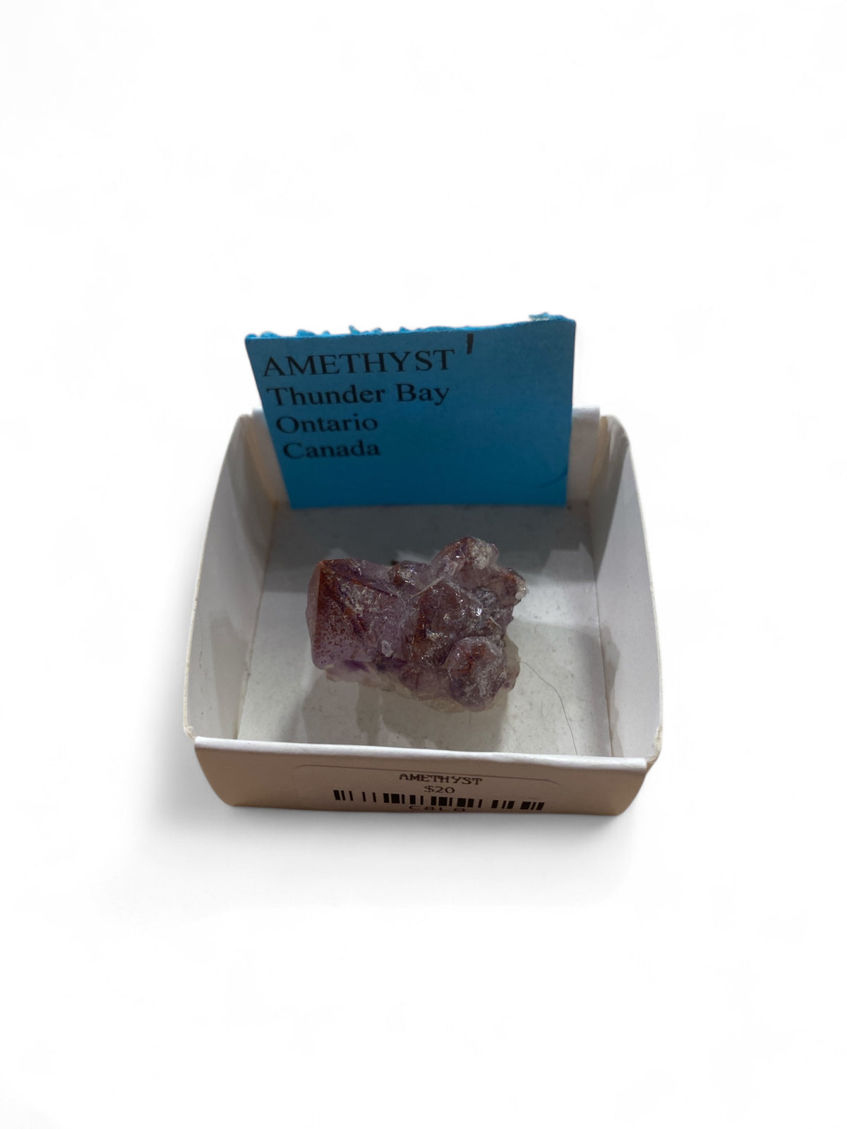 Thunder Bay Amethyst in White Box
