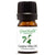 Camphor Essential Oil