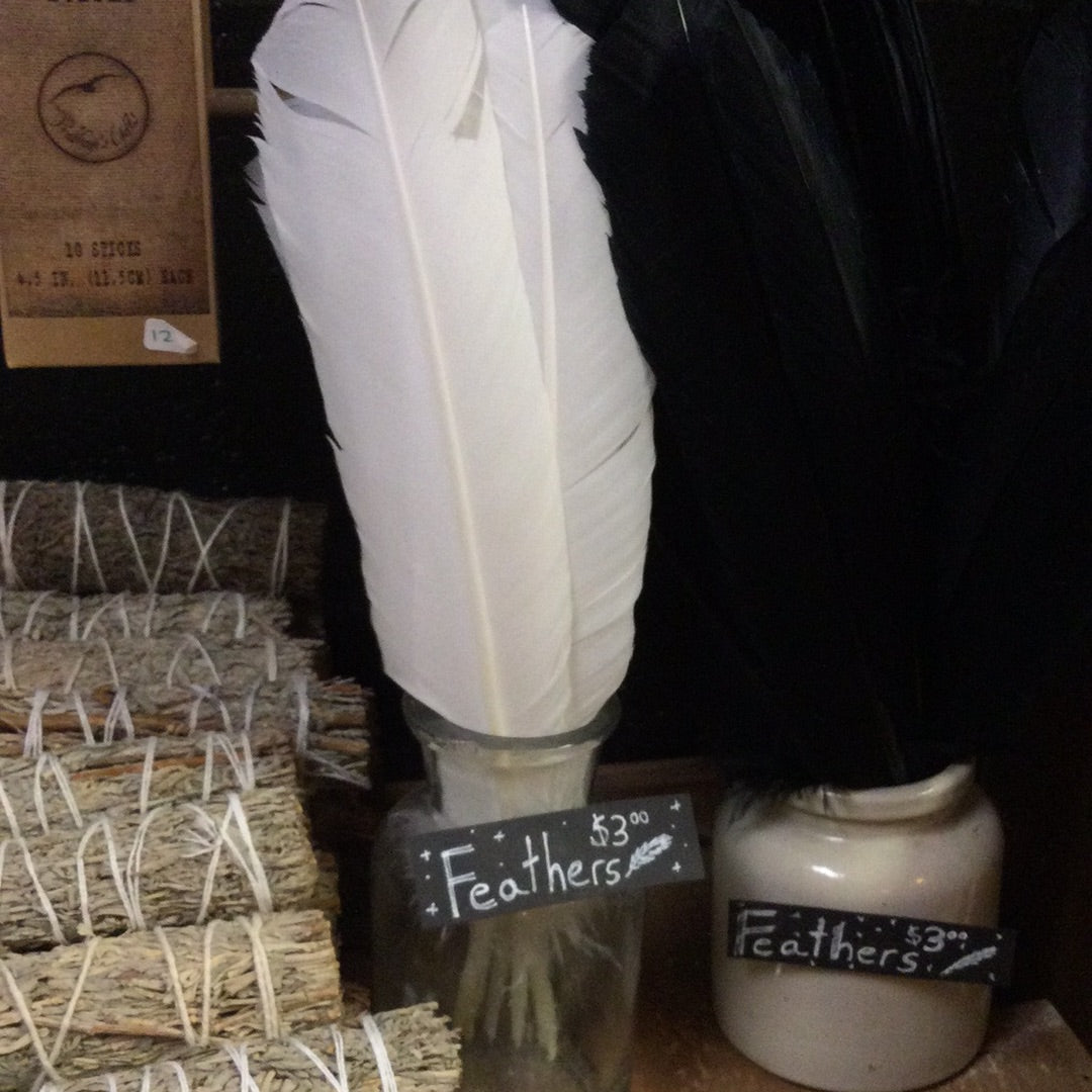 Feathers