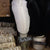 Feathers