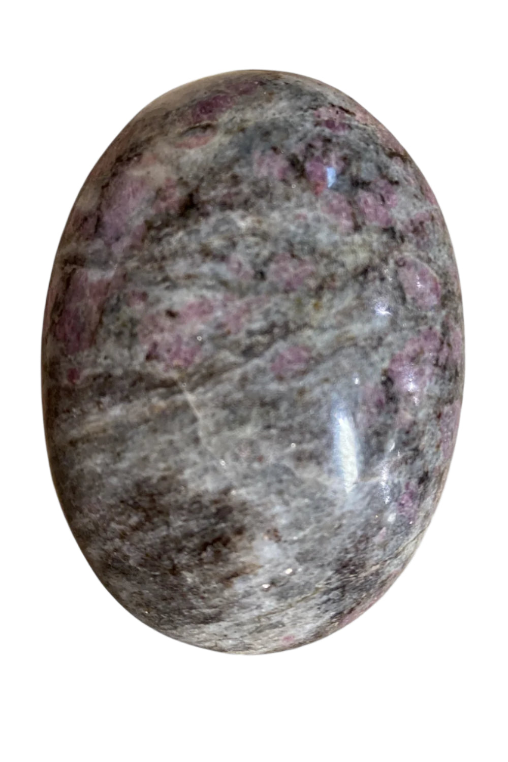 Garnet in Astropholite Palm Stone
