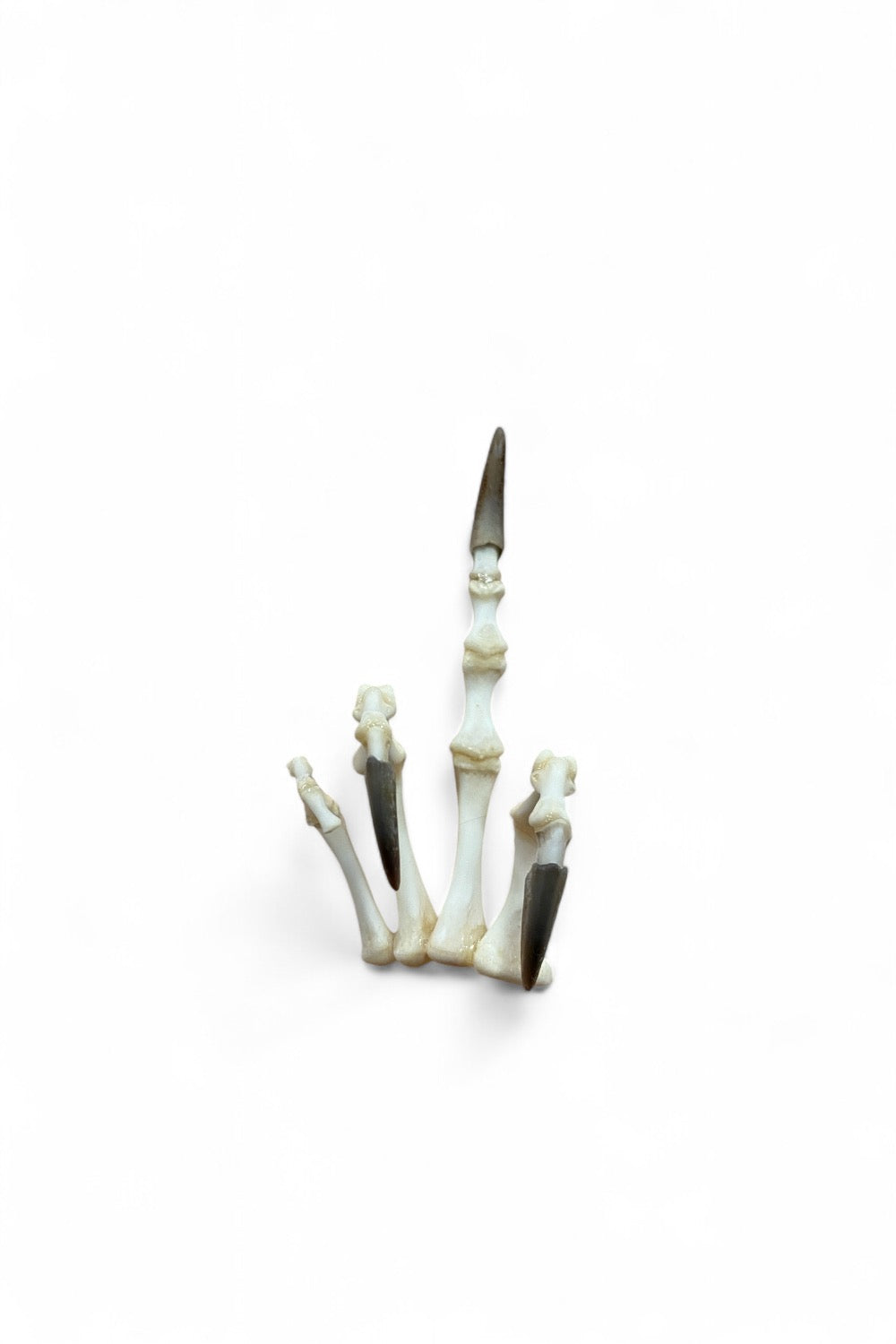 Alligator Paw - F@ck Off!