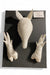 Mounted Armadillo Head & Feet Cast