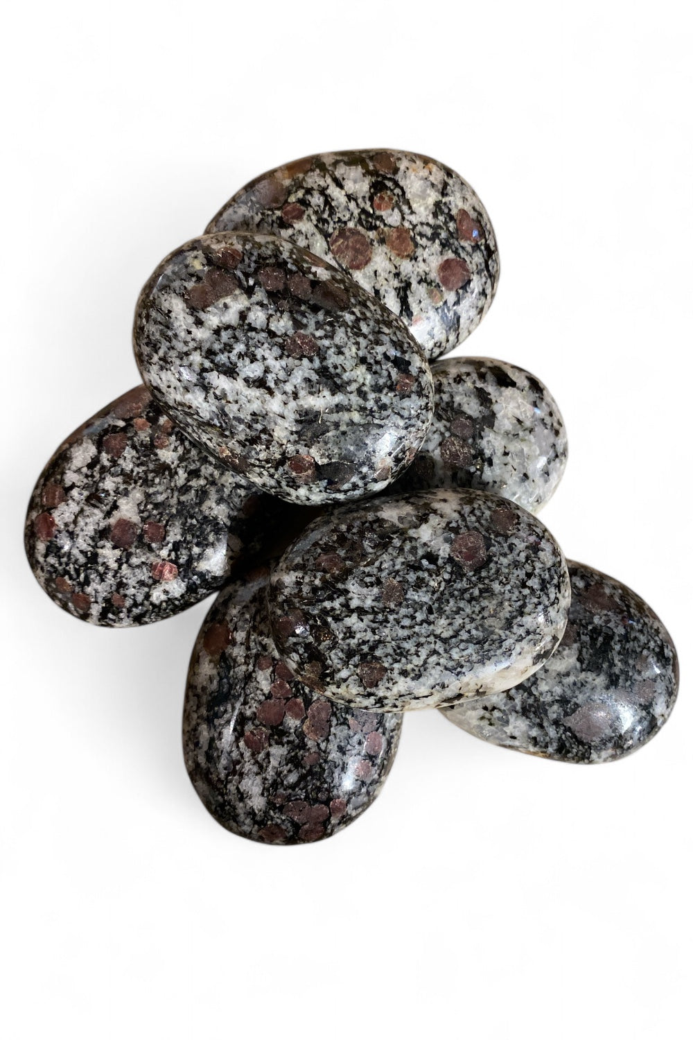 Garnet in Matrix Palm Stone