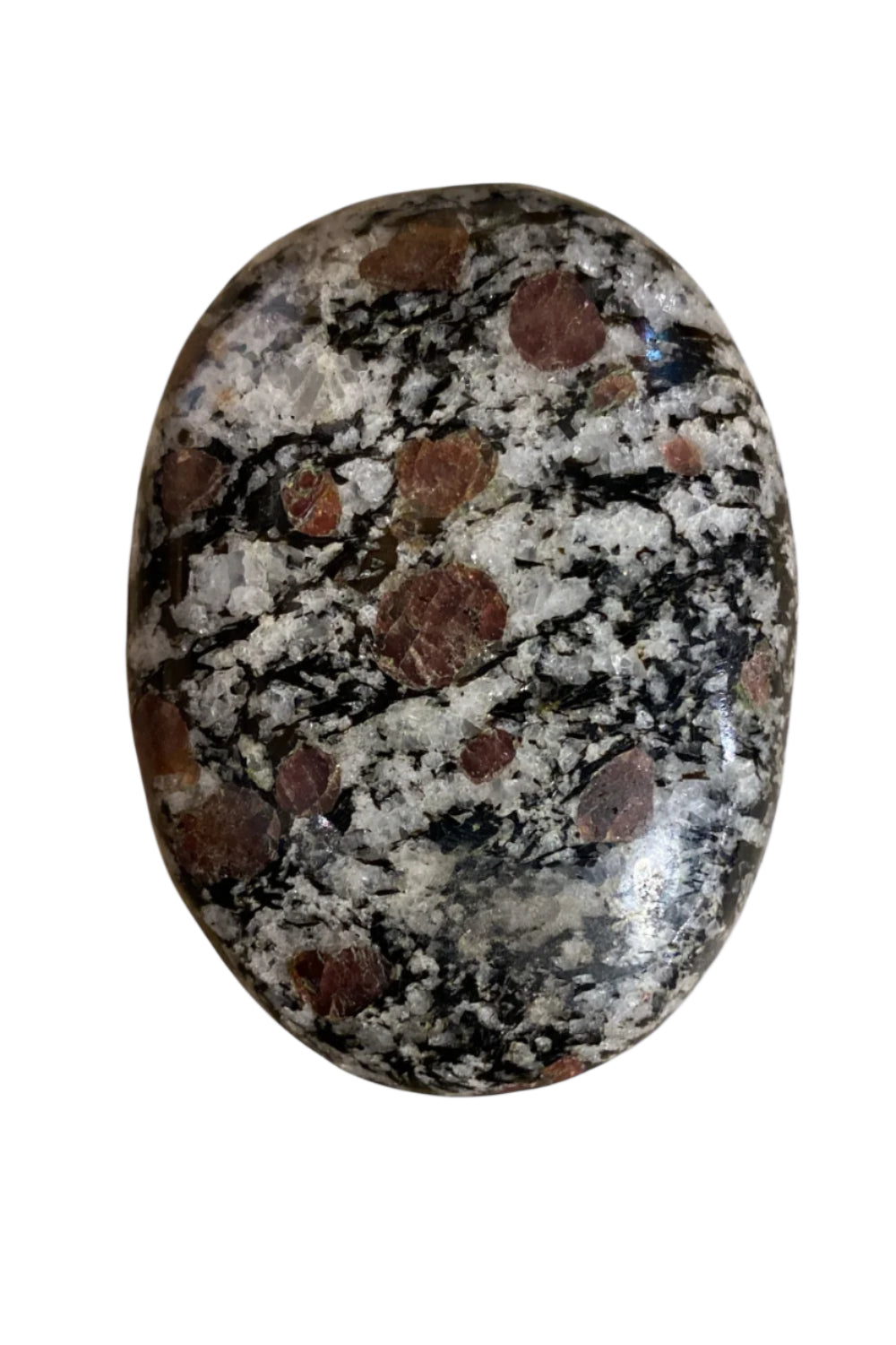 Garnet in Matrix Palm Stone