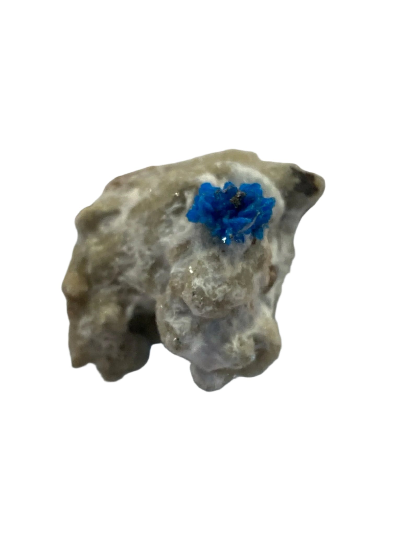 Cavansite Specimen in Perky Box