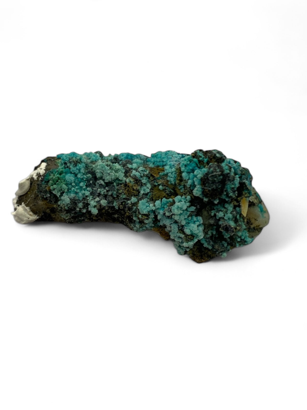 Chrysocolla in Quartz Specimen in Perky Box