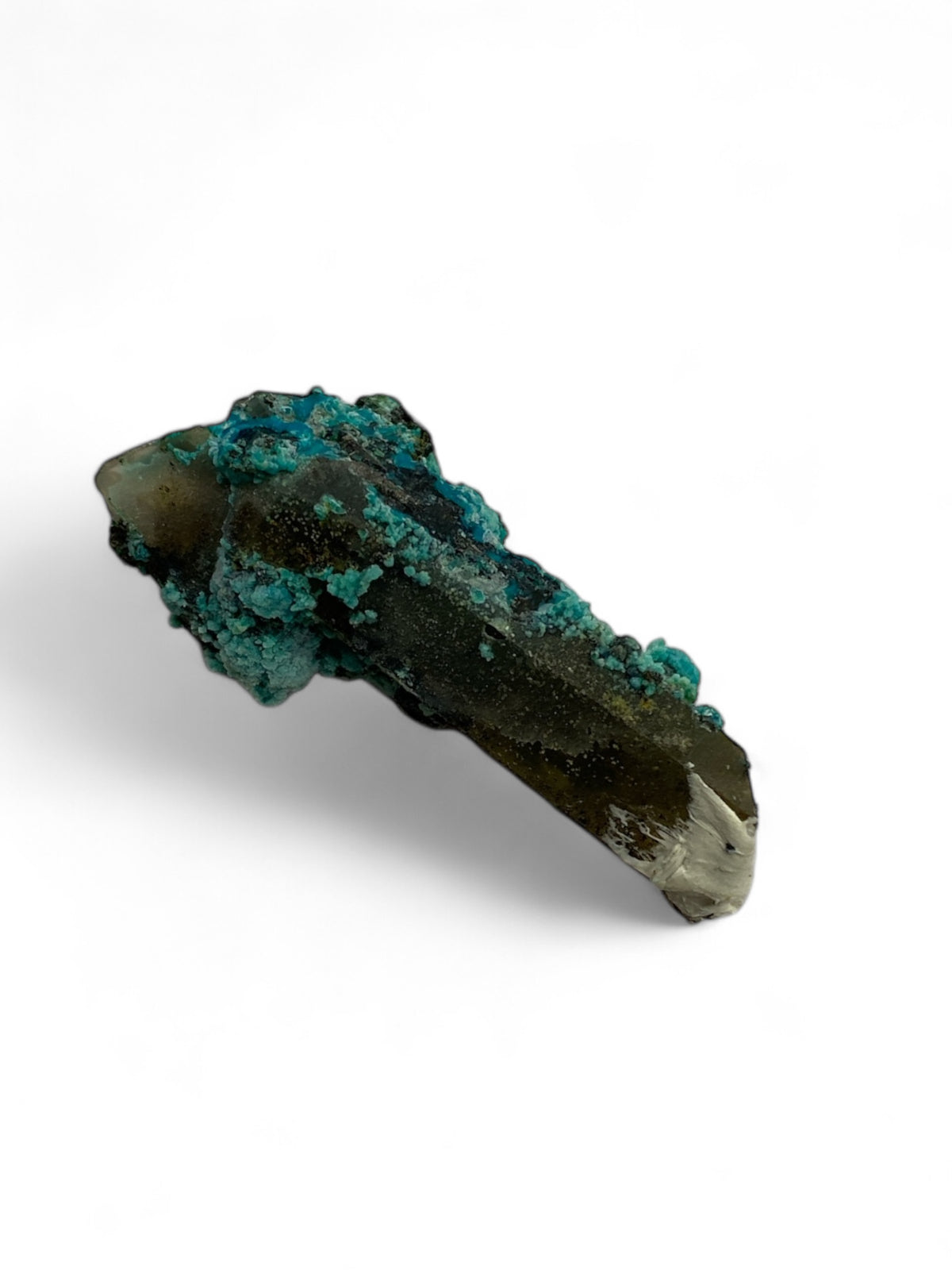 Chrysocolla in Quartz Specimen in Perky Box