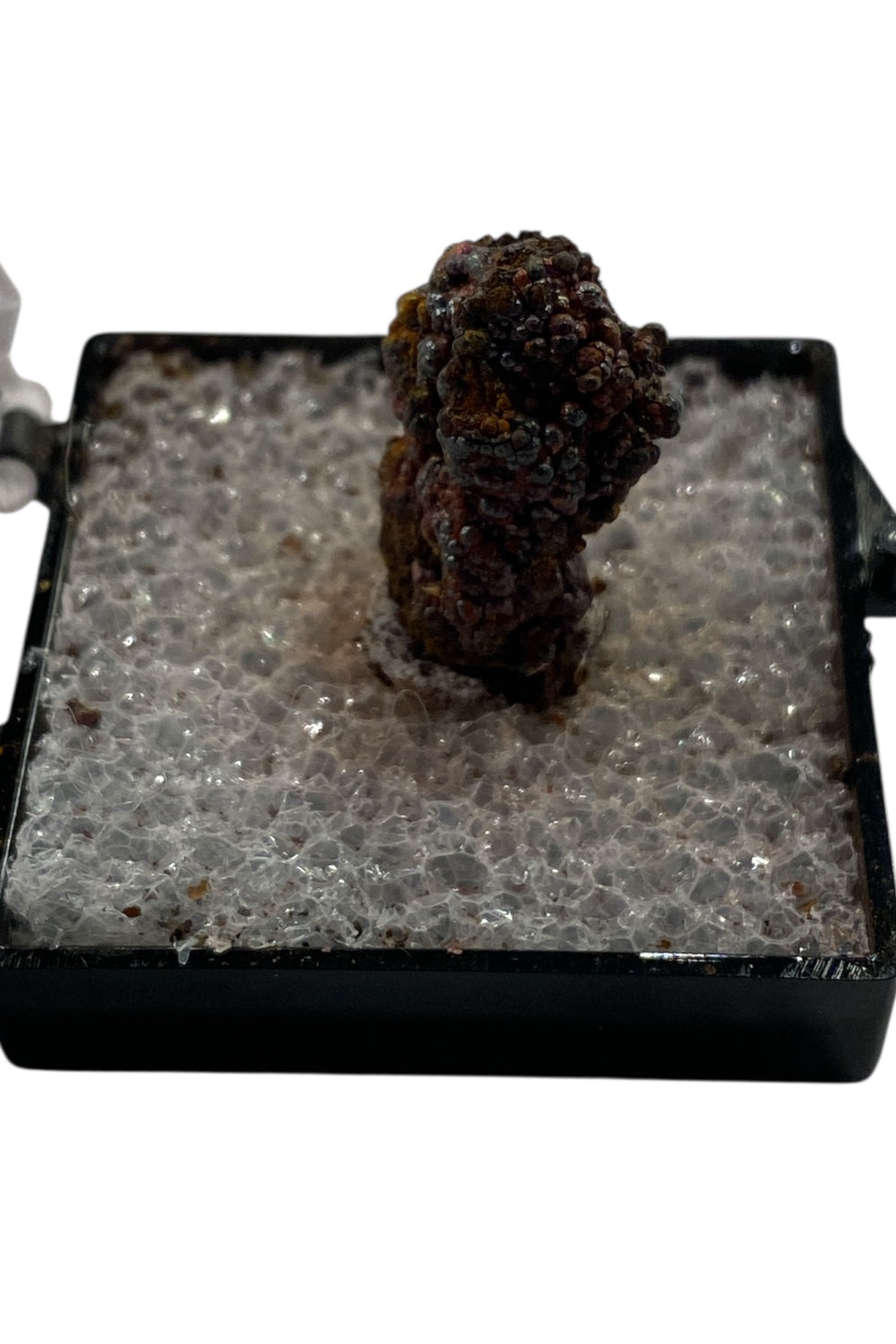 Turgite in Perky Box