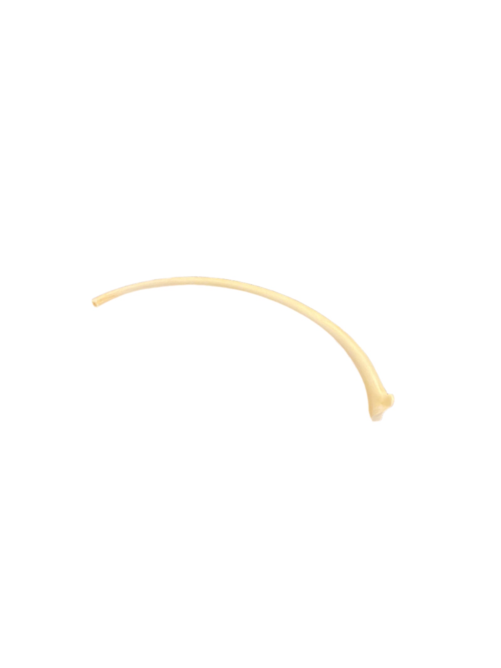 Thin, curved object on a dark textured surface