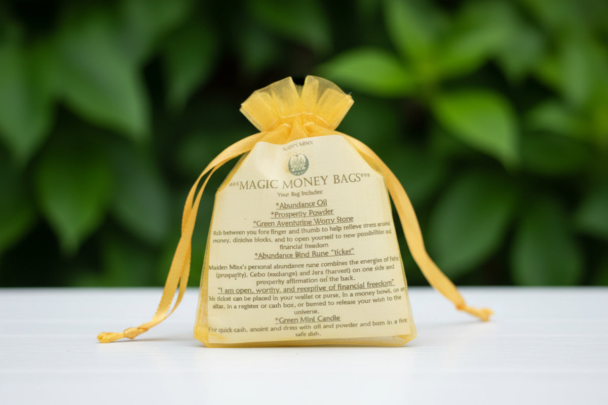 Magic Money Bag by Maiden Minx