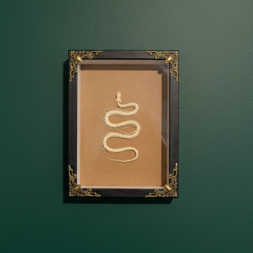 Decorative snake sculpture in a black frame on a green wall. 
