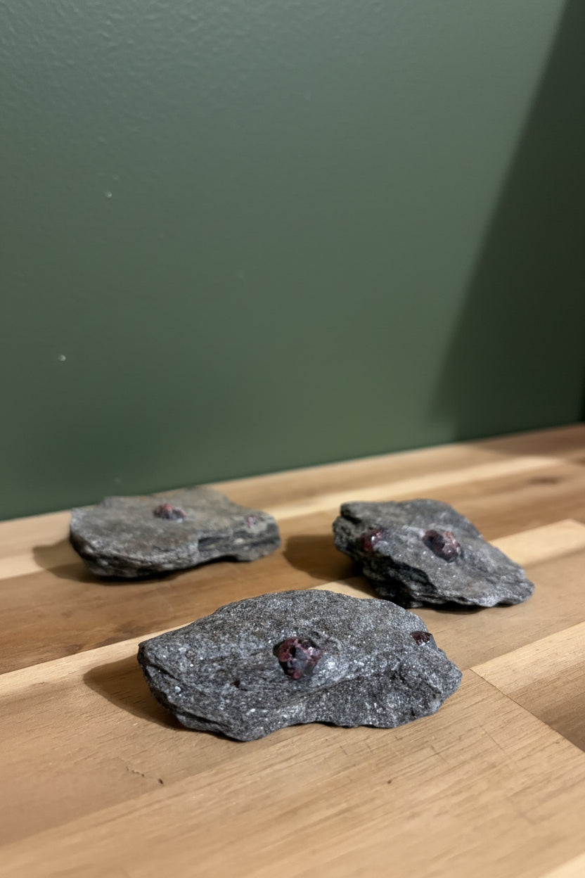 Garnet in Mica Schist