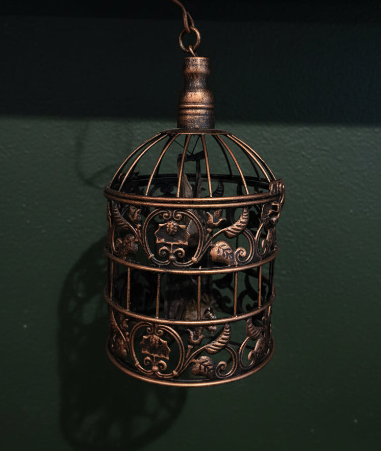 Hanging Bat in Bronzed Cage - Taxidermy