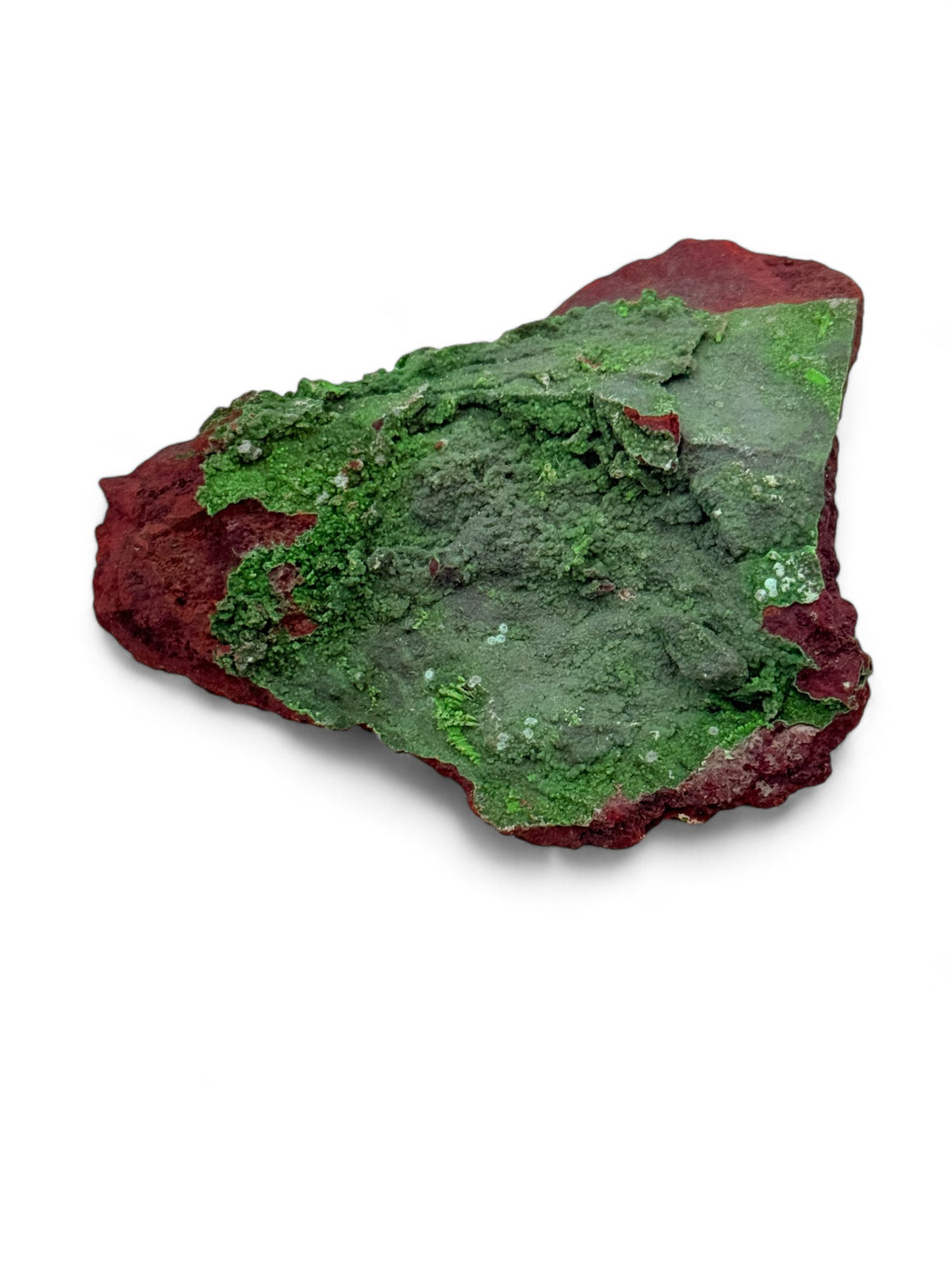 Conichalcite Specimens