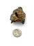 Wulfenite Specimen