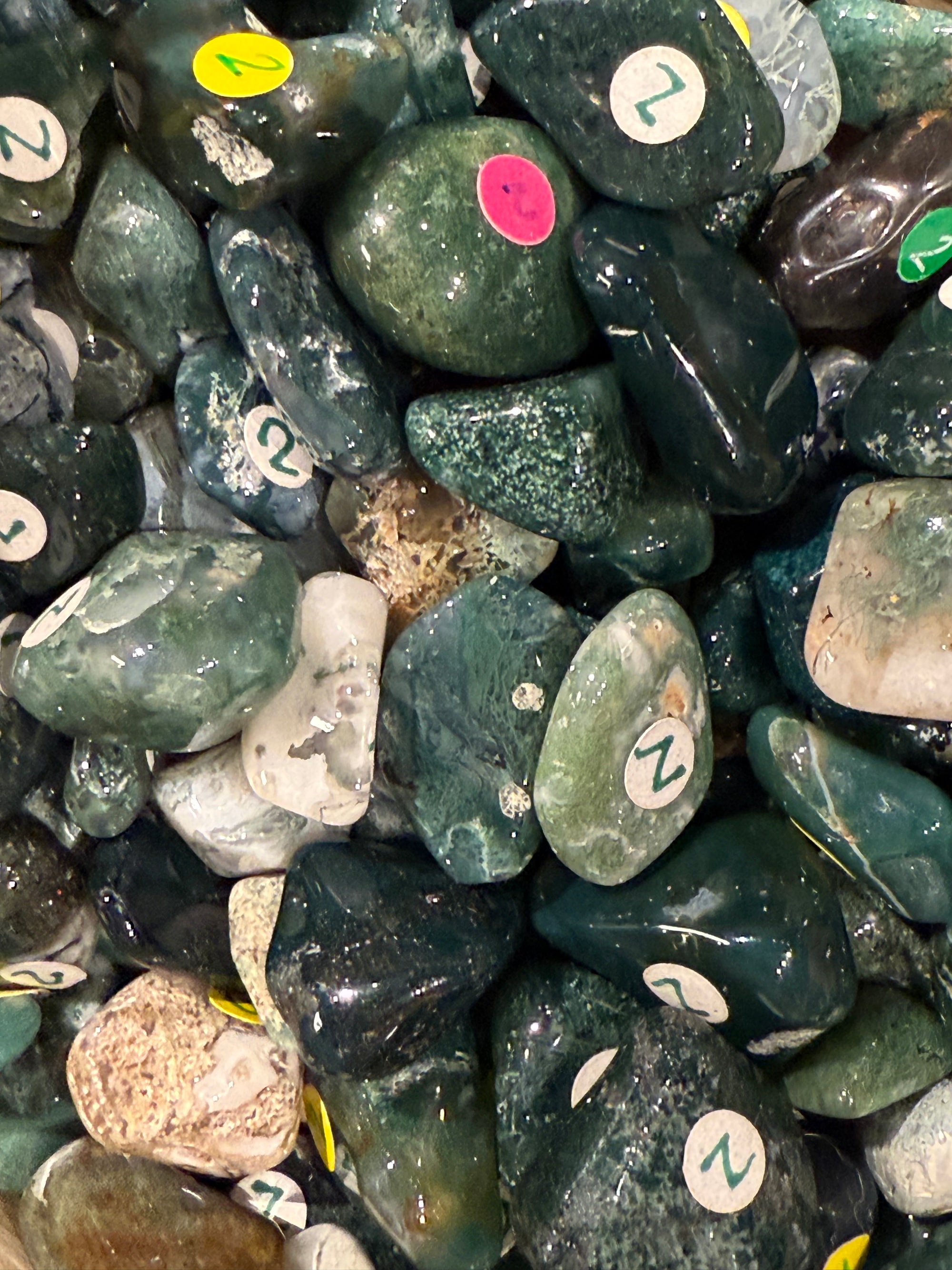 Moss Agate Tumbled