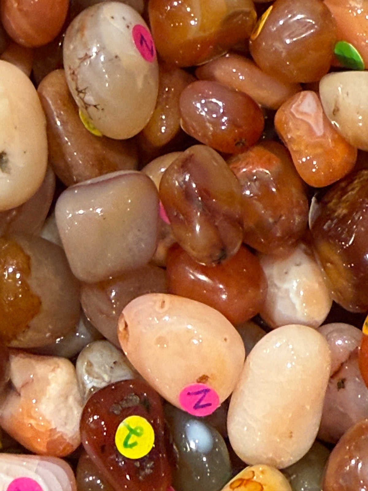 Carnelian Tumbled