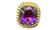 Amethyst Alchemia Gold Ring Adjustable