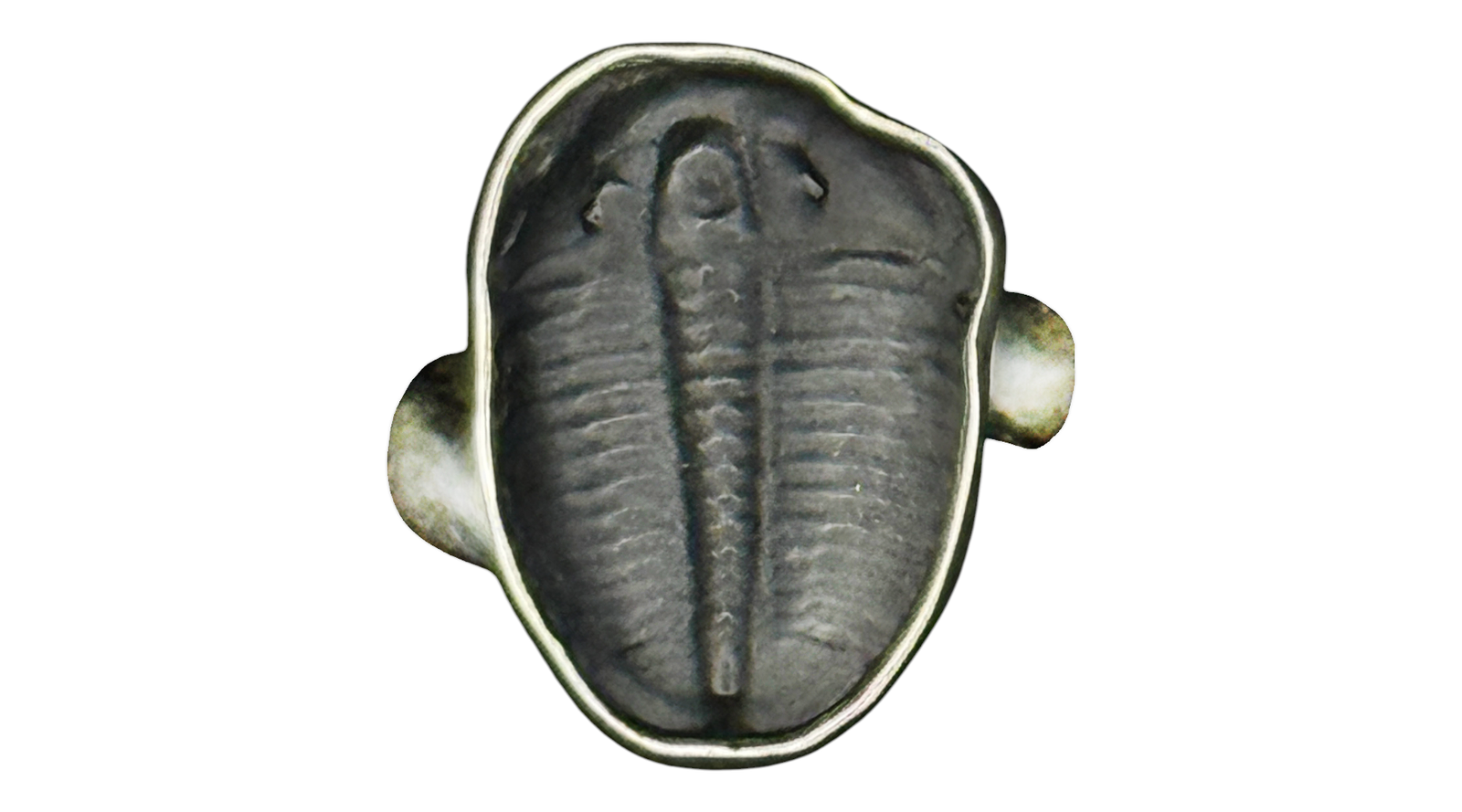 Trilobite Fossil Sterling Silver Ring  Adjustable