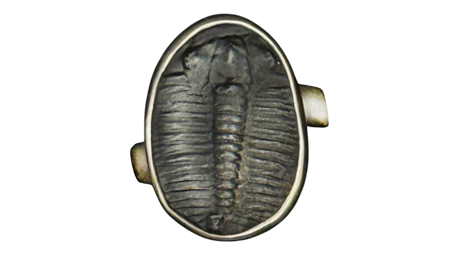 Trilobite Fossil Sterling Silver Ring  Adjustable