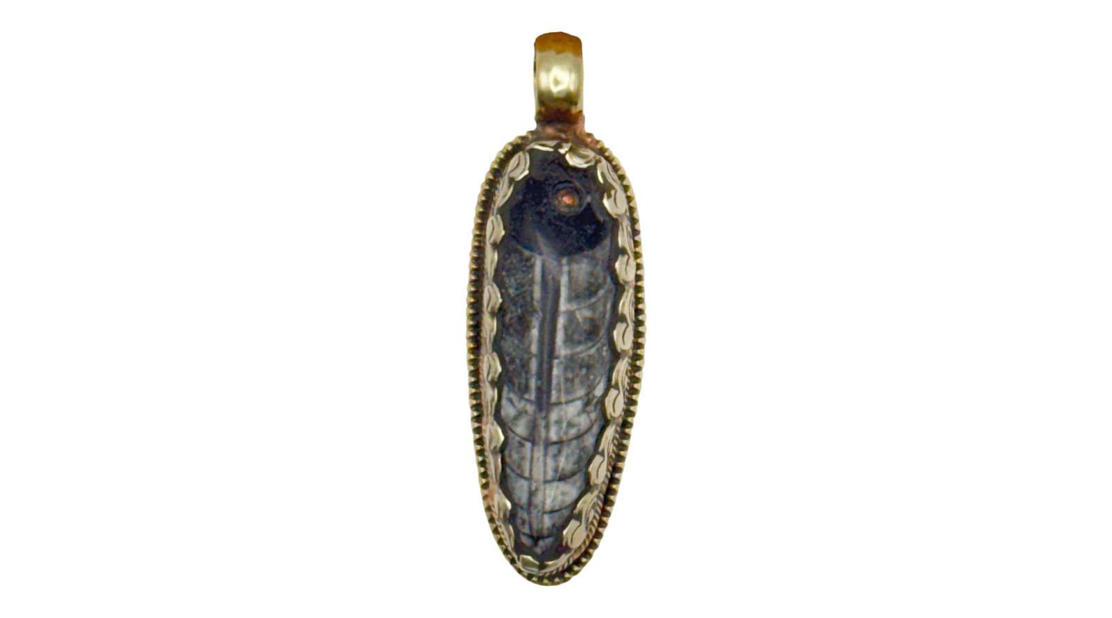 Orthoceras in Tibetan Silver Pendant