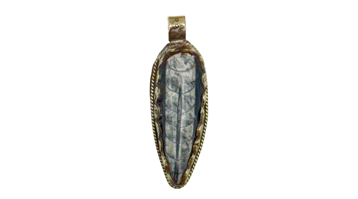 Orthoceras in Tibetan Silver Pendant