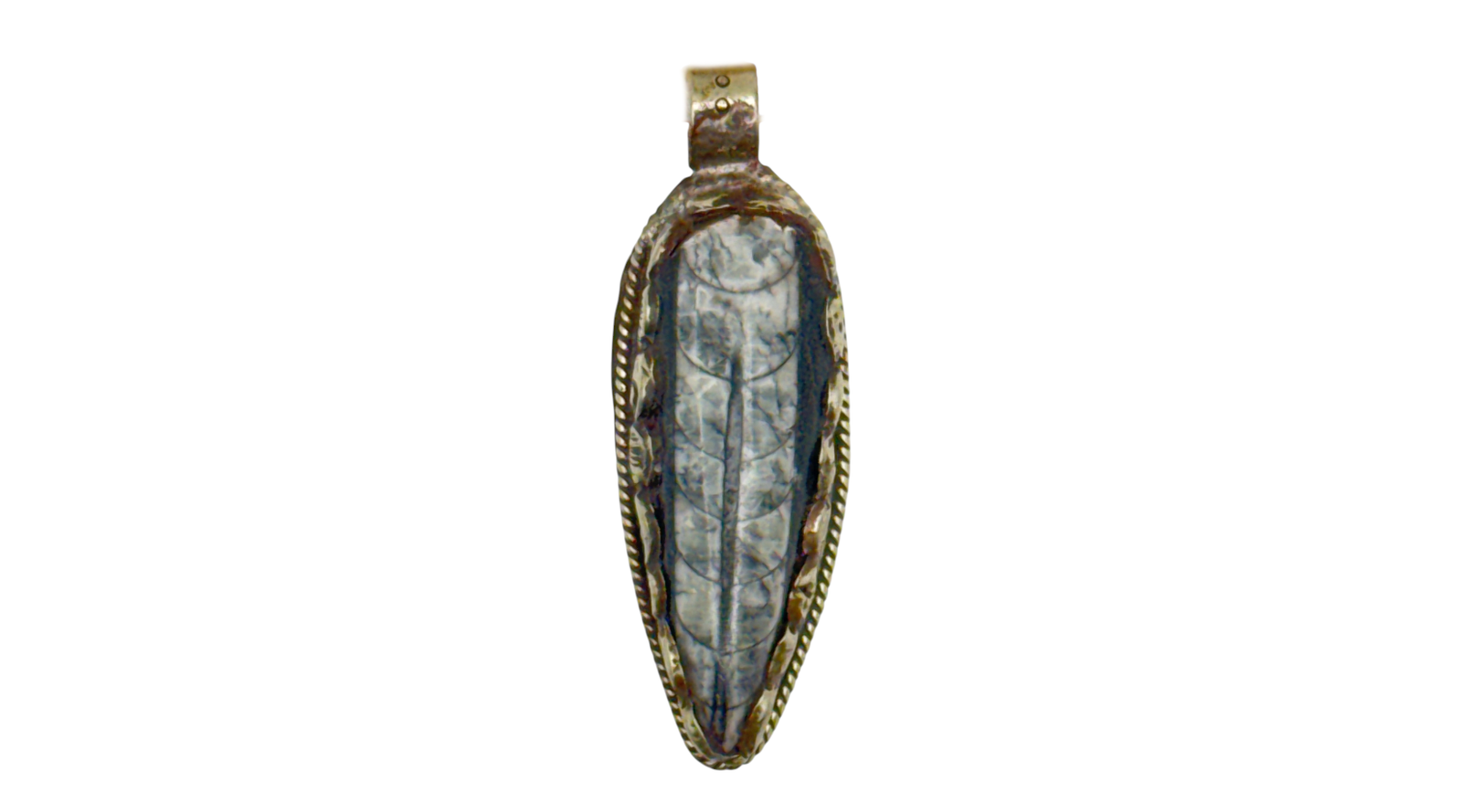 Orthoceras in Tibetan Silver Pendant