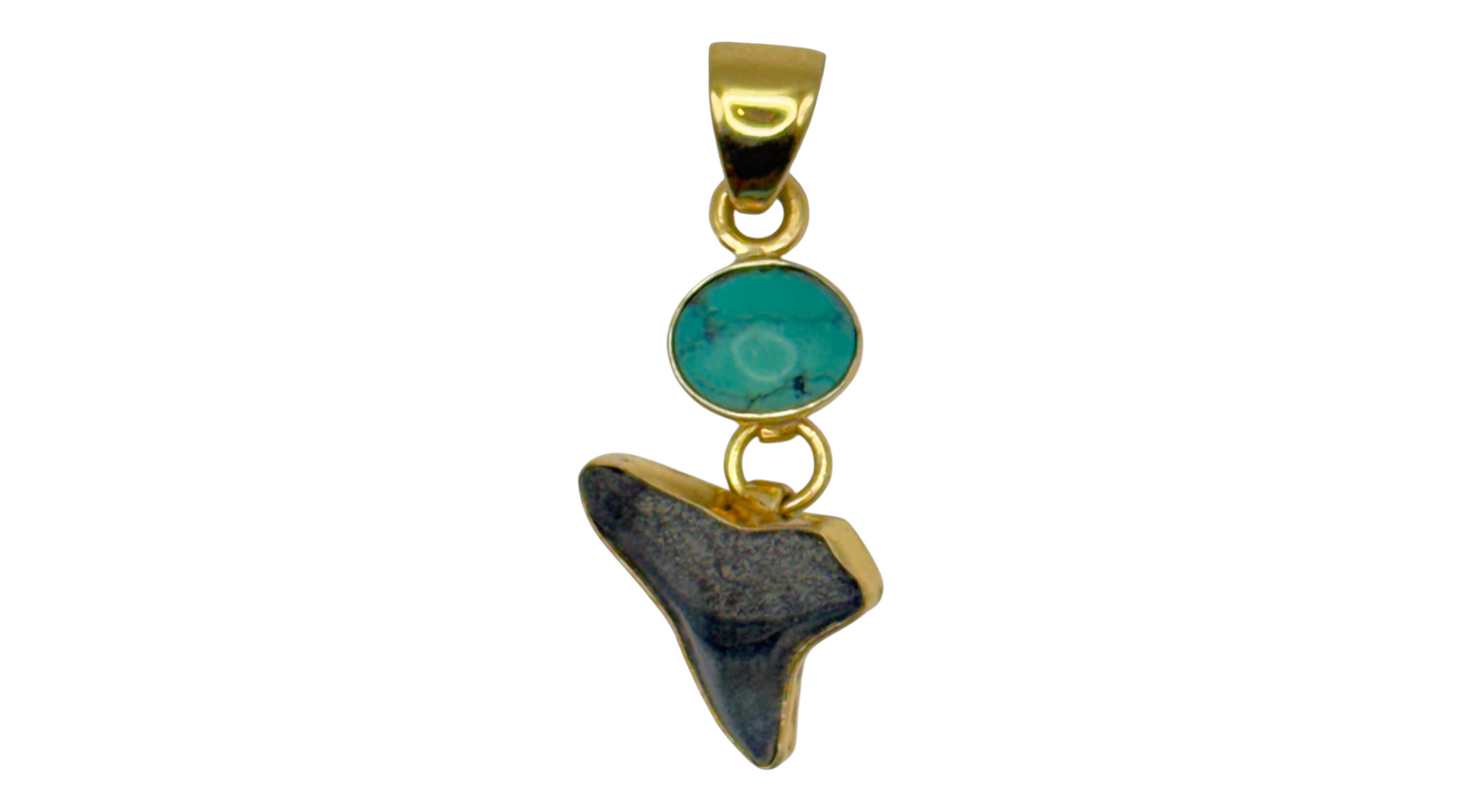 Alchemia Gold Turquoise & Fossilized Shark Tooth  Pendant
