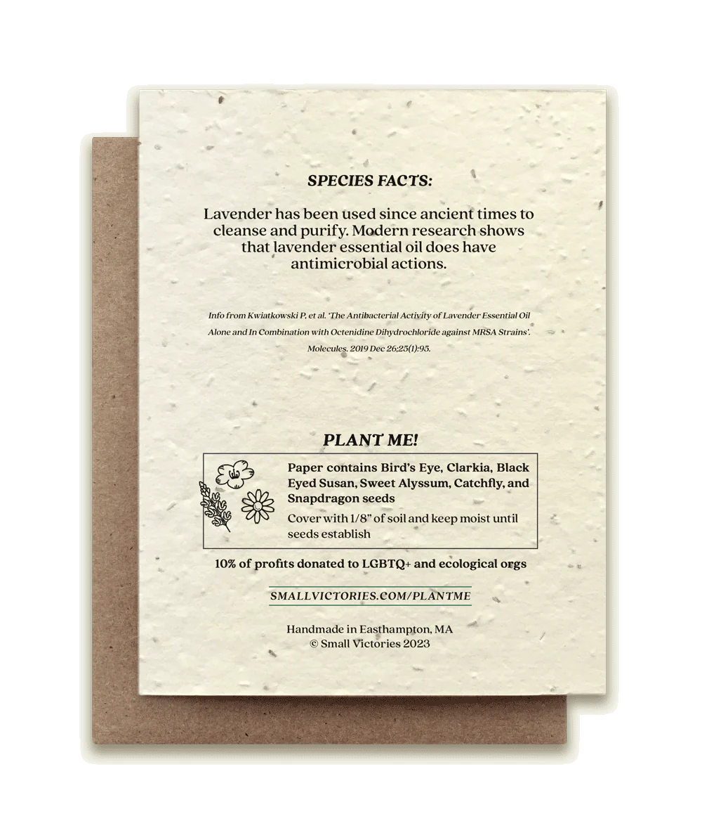 Plantable Seed Card - Lavender bundle
