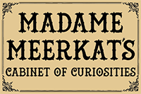 Madame Meerkat's Cabinet of Curiosities