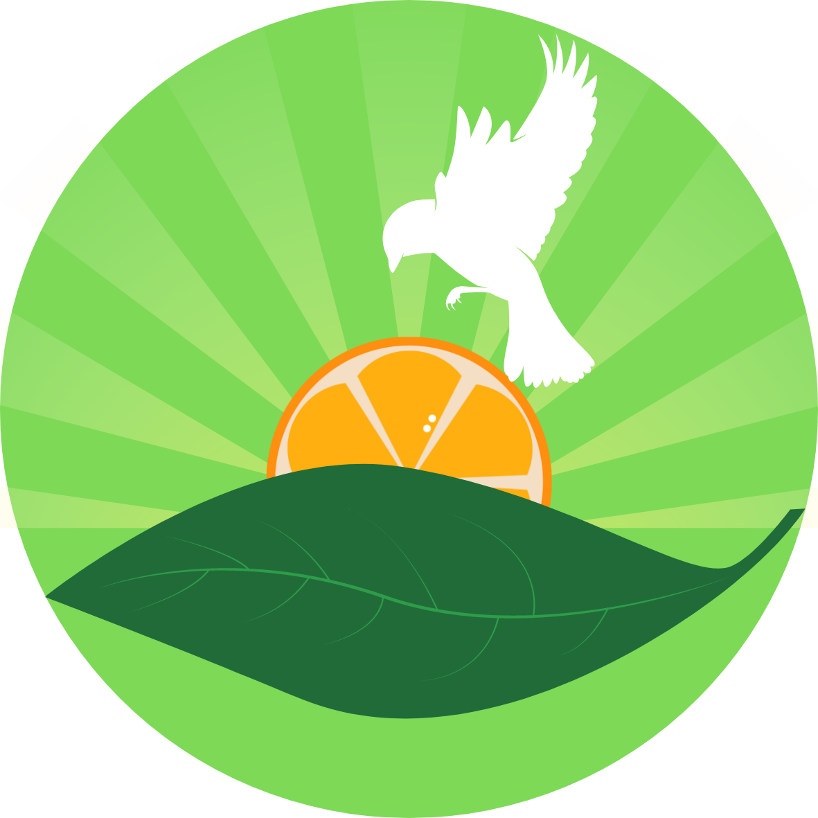 Morning Dew, Green Tea Blend